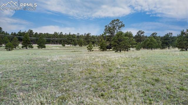 Photo 11 of 11809 Flap Jack Lane, Colorado Springs