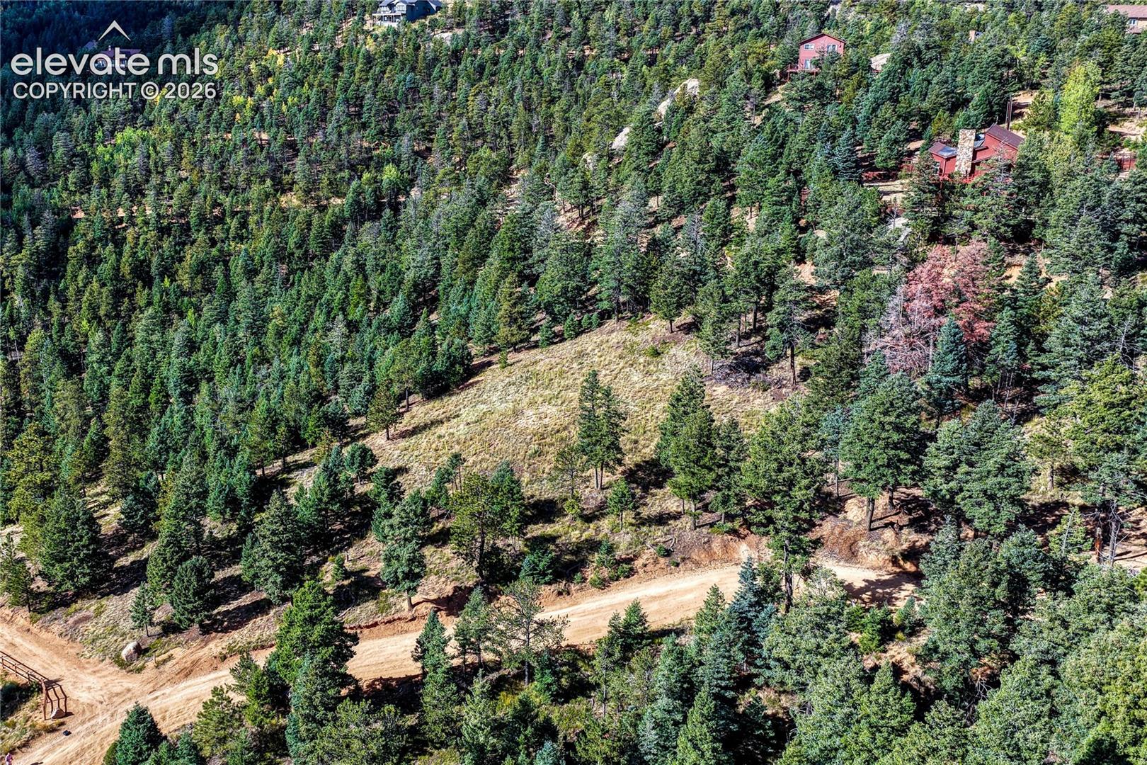Open meadow on the lot