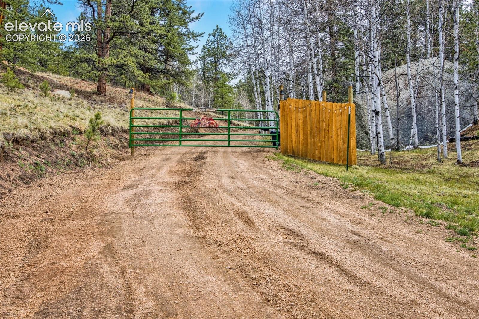 Automatic entry gate
