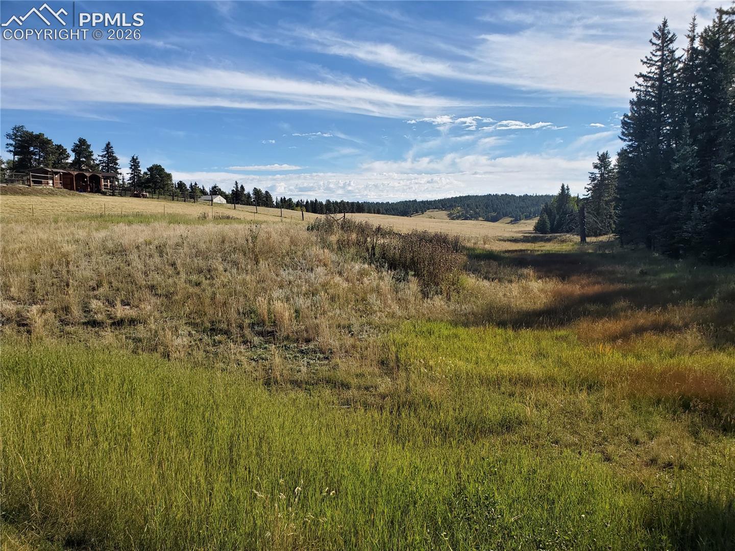 Photo 10 of 309 Pinaceae Heights, Divide