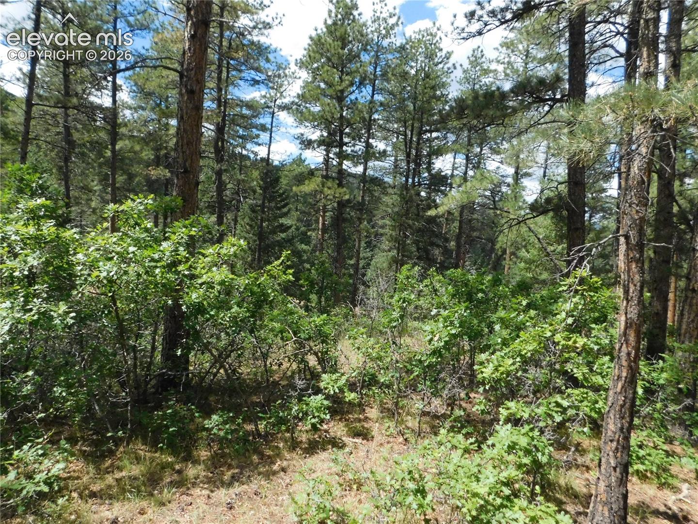 Photo 25 of 8139 Bannock Drive, Larkspur
