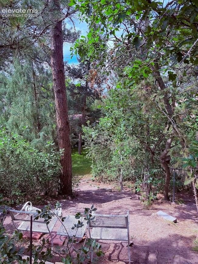 Lush outdoor space featuring mature trees and established plantings