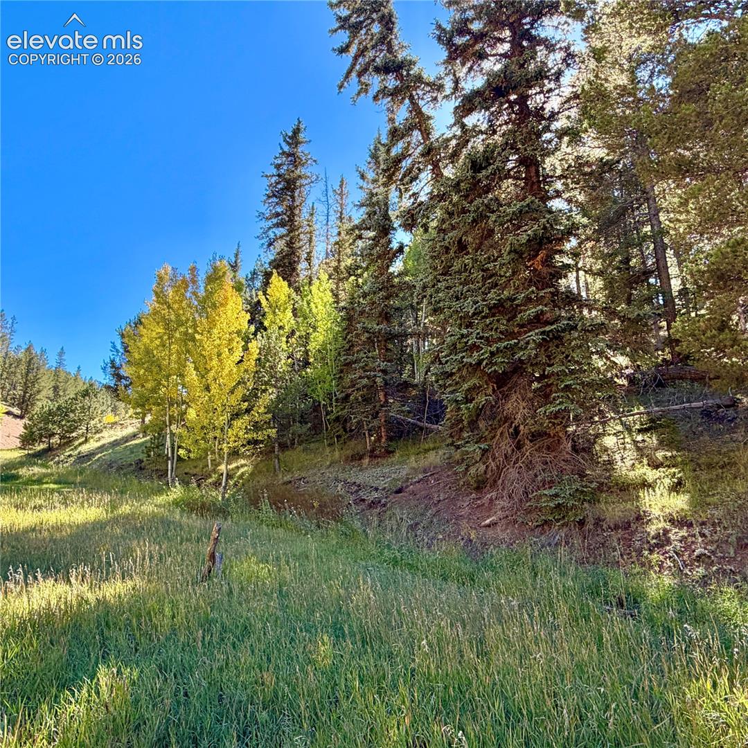 Photo 9 of 535 Willow Road, Divide