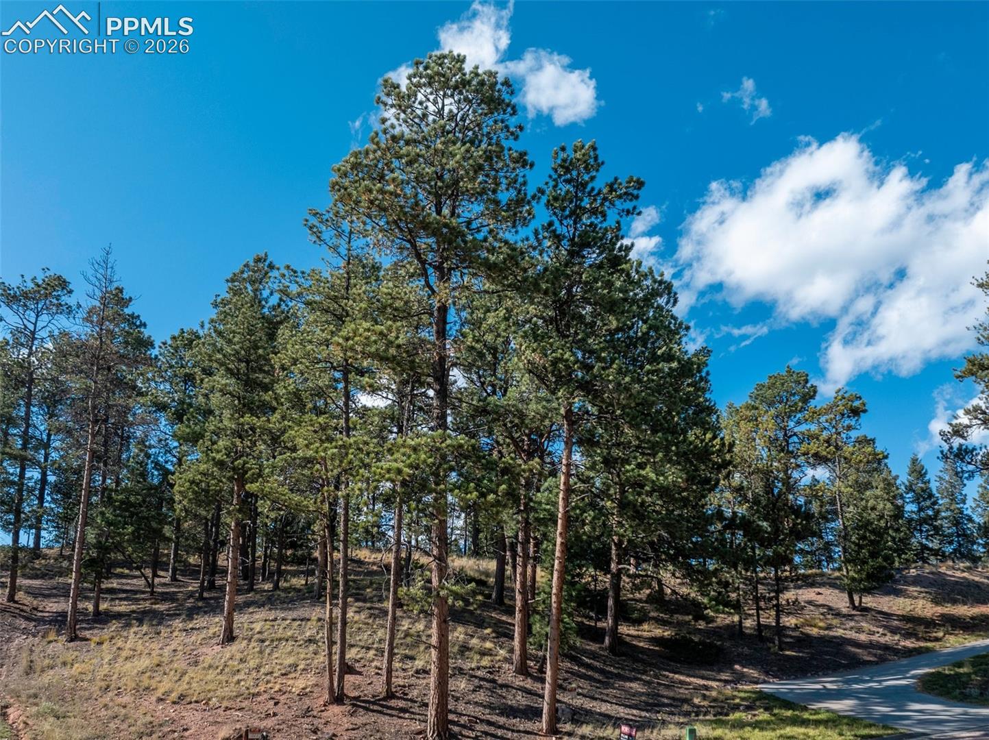 Photo 9 of 270 Thunder Ridge Drive, Woodland Park