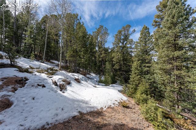 81 Haven Rd, Divide, CO 80814