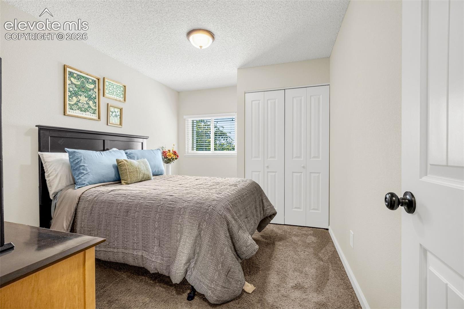 Neutral wall tones, carpeted flooring, sliding-panel closet doors, and a double-hung window