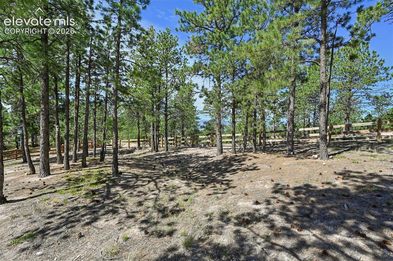 16232 Thunder Cat Way, Monument, CO 80132