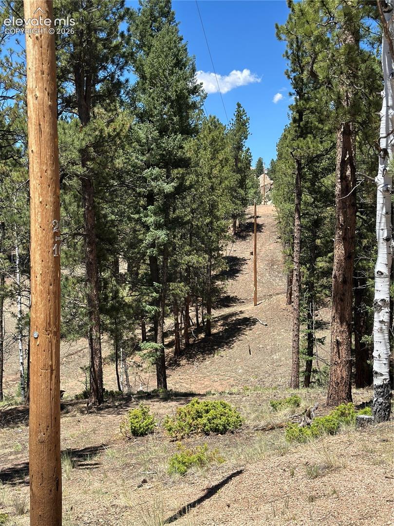 305 - 281 Midnight Ln, Florissant, CO 80816