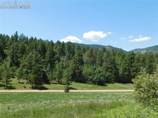 Photo 13 of 4668 Comanche Drive, Larkspur