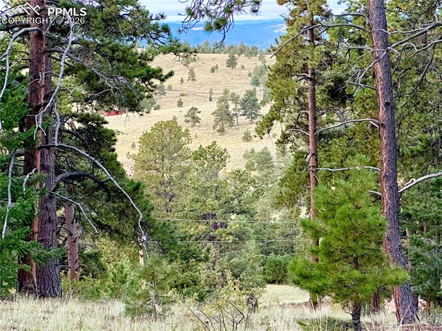 Photo 6 of 908 Penrose Circle, Cripple Creek