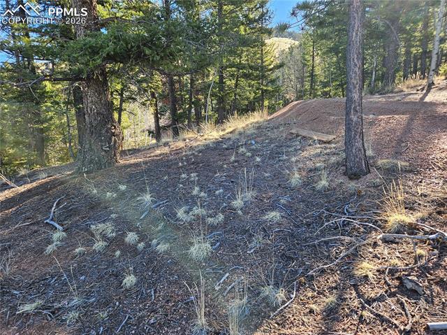 Photo 16 of 652 Derby Drive, Cripple Creek