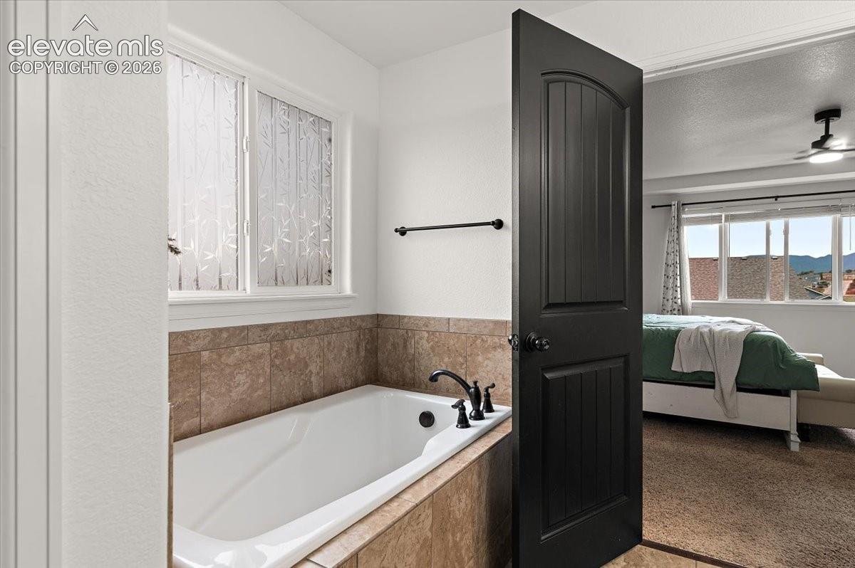 Photo 17 of 7502 Peachleaf Drive, Colorado Springs