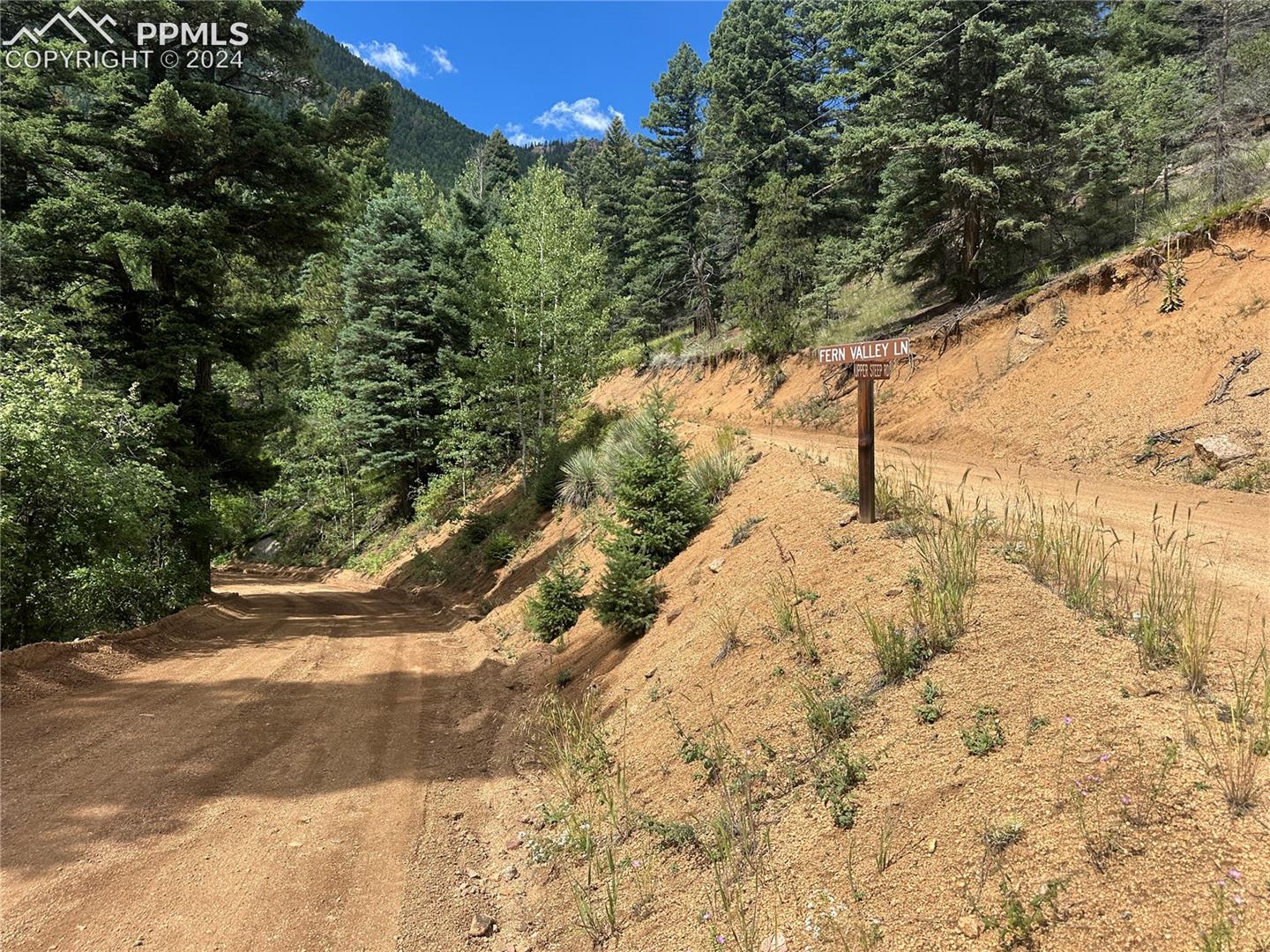 Intersection of Fern Valley/Upper Steep to get to the lot