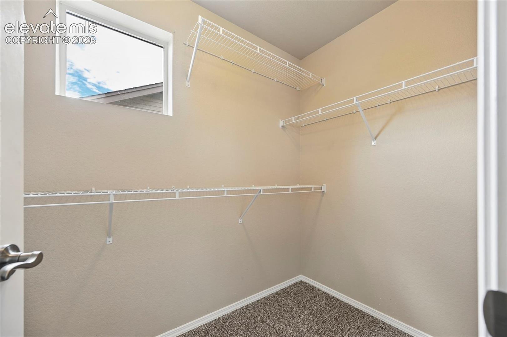 Photo 11 of 10949 Echo Canyon Drive, Colorado Springs