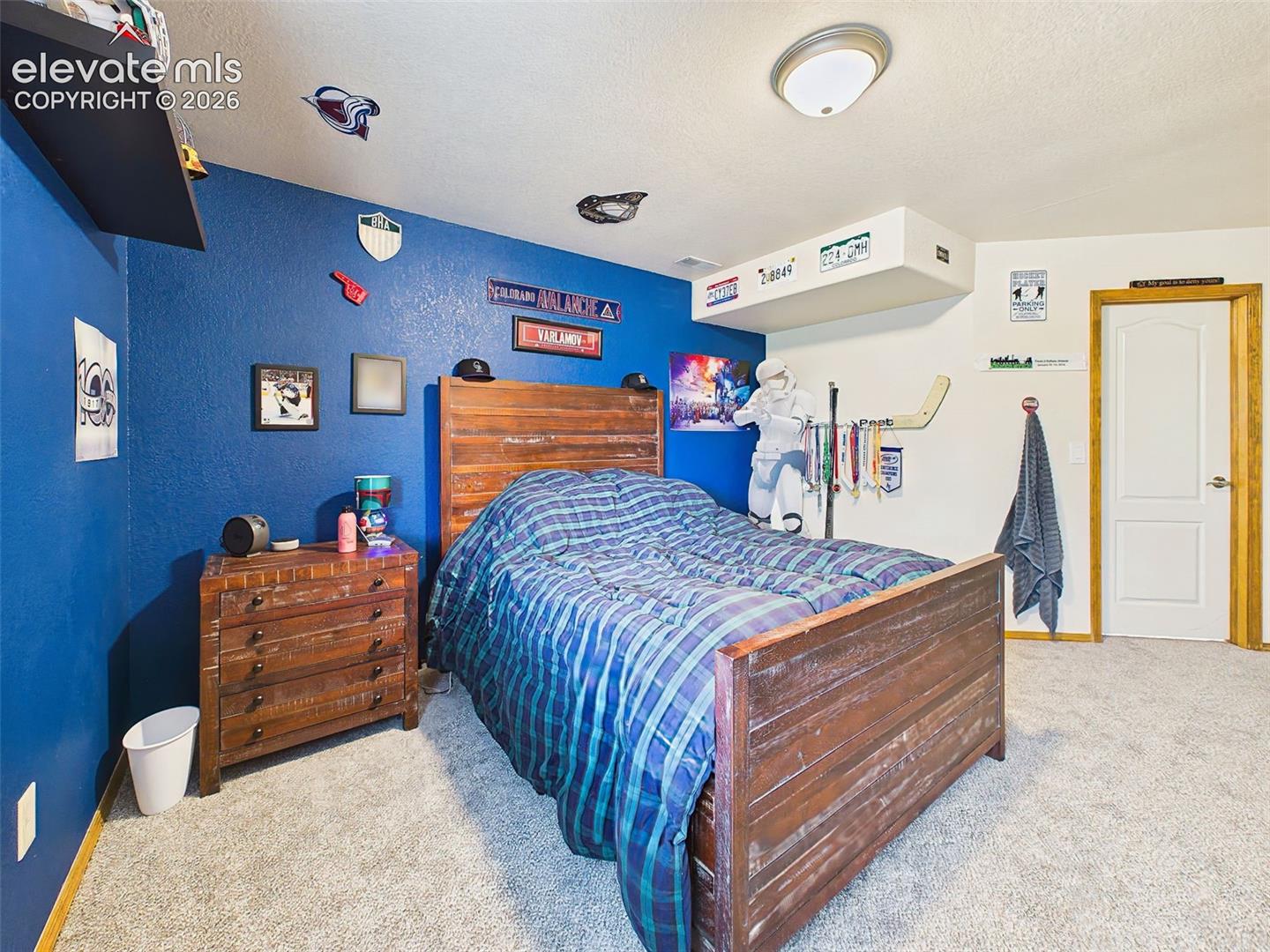 Spacious lower-level bedroom with plush carpeting, bold accent walls, and plenty of room for personalization.
