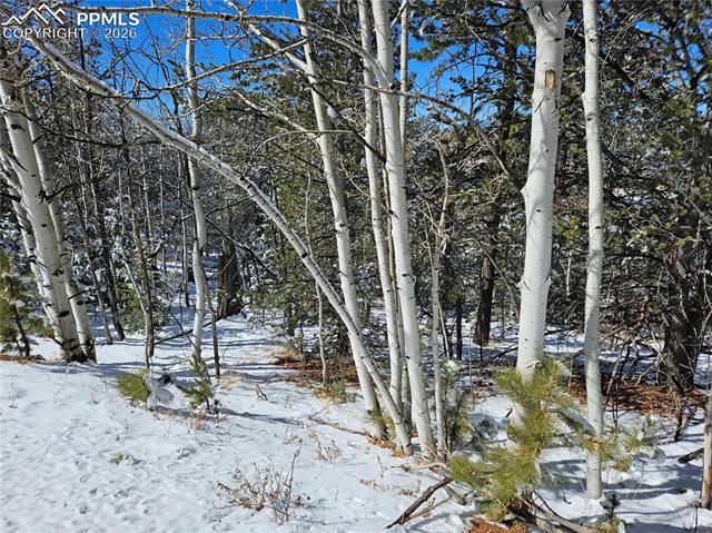 Photo 23 of 829 Princess Road, Cripple Creek