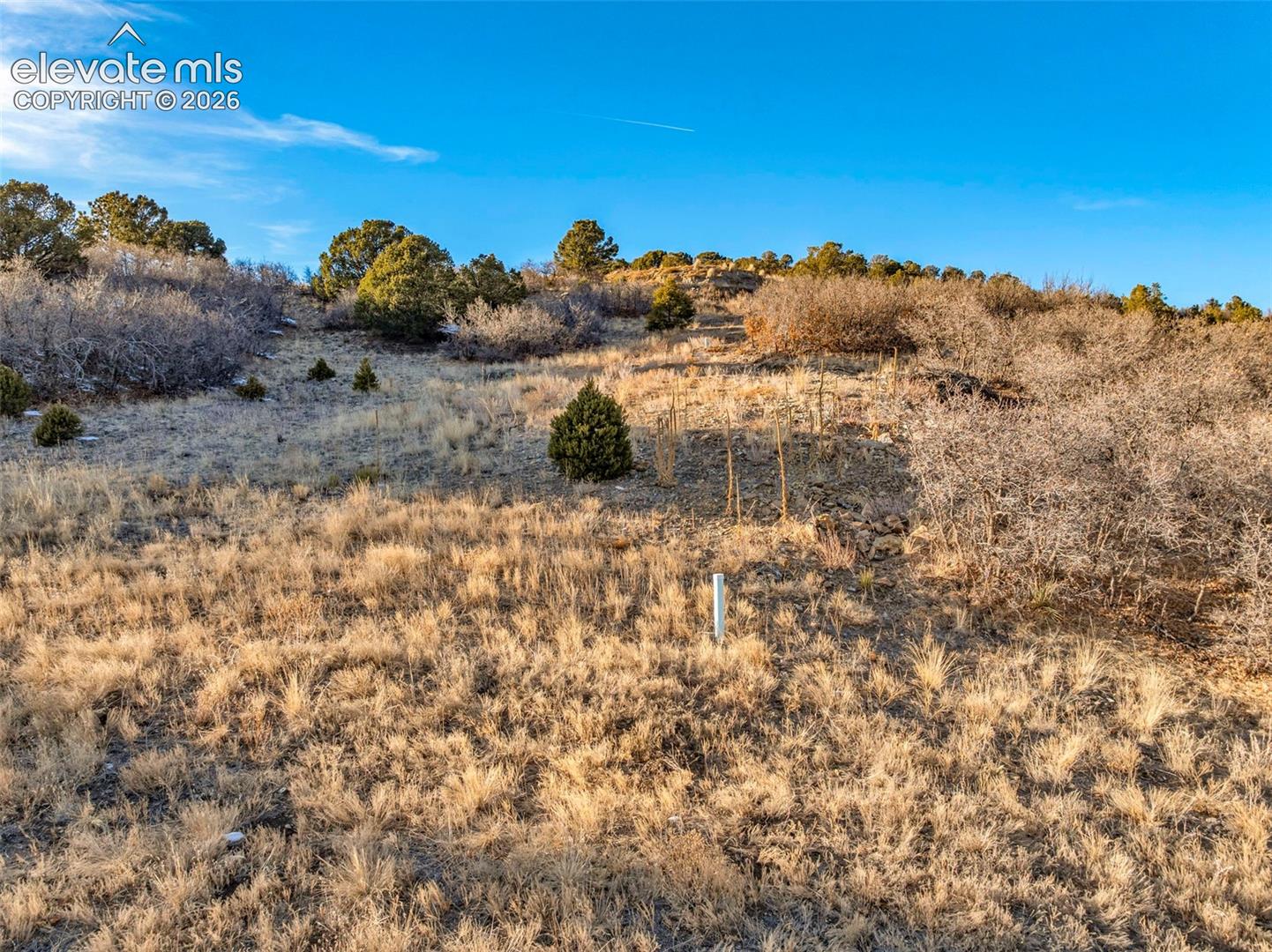 Photo 13 of 303 Peak View Place, Canon City
