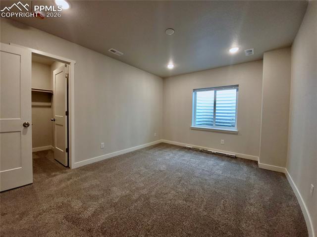 Basement bedroom with walk-in closet