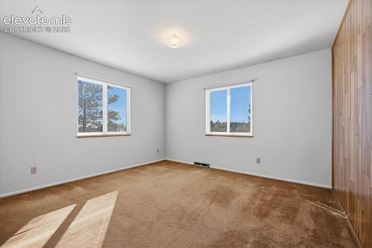 Interior space featuring wood-paneled wall accent, dual windows, carpeted flooring, and flush-mount lighting