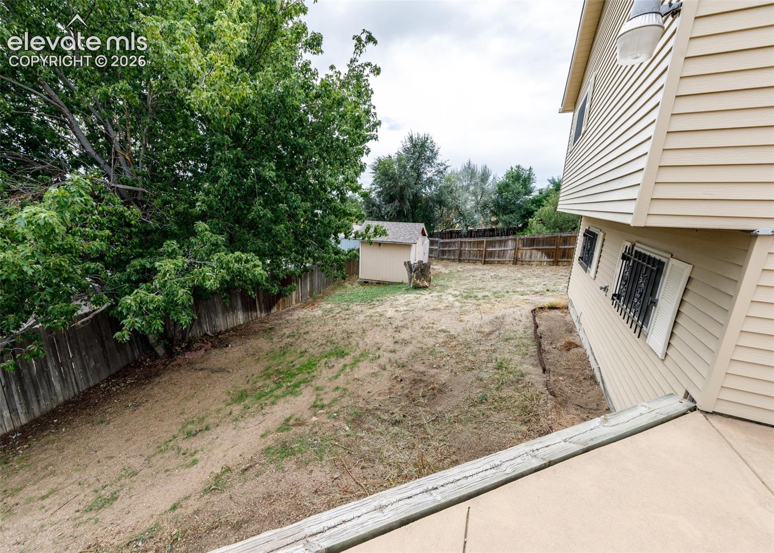 back yard