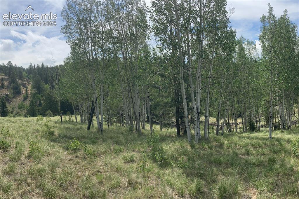 79 Beaver Creek Cir, Florissant, CO 80816