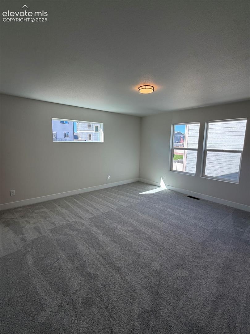 Neutral-toned interior space featuring neutral carpeting, a flush-mount ceiling light, and multiple windows