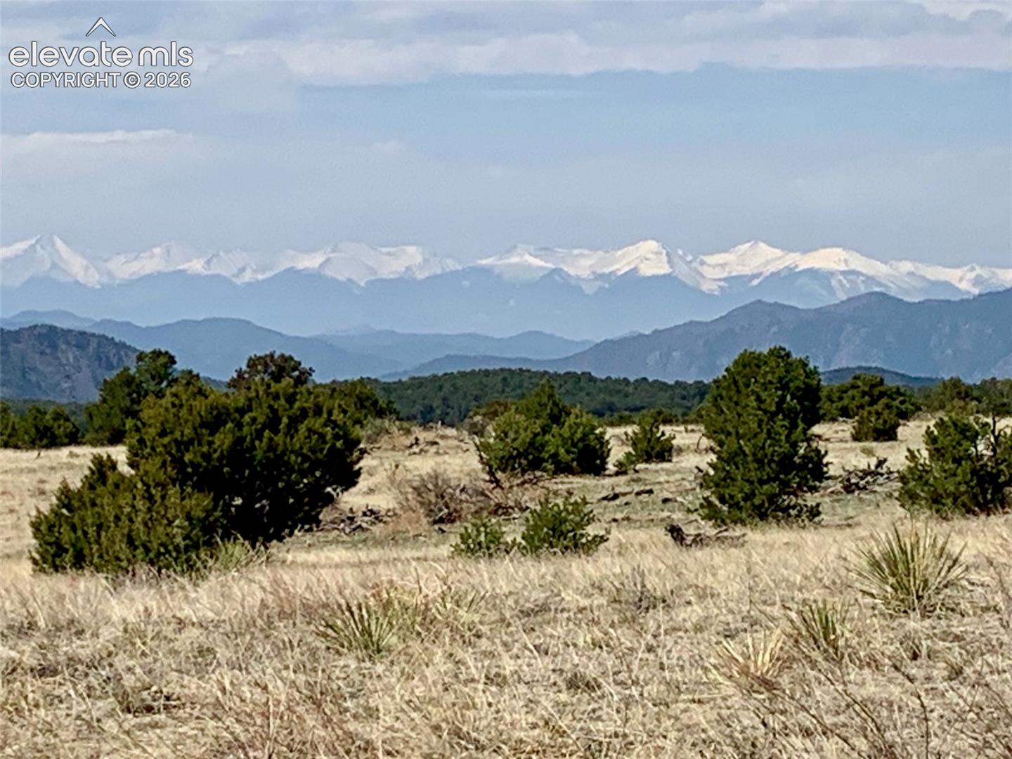 Expansive landscape featuring snow-capped mountain peaks, native grasses, and mature evergreen vegetation