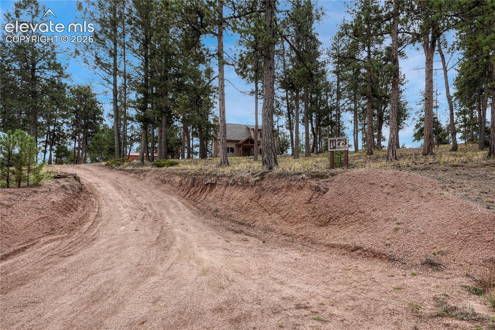 Unpaved access road leading to a residence set among mature trees