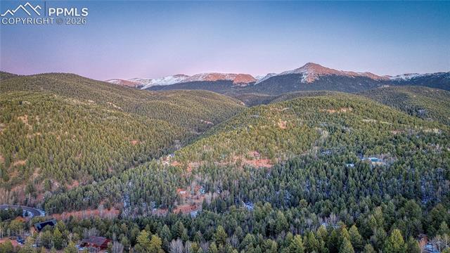 Photo 17 of 959 Calcite Drive, Divide