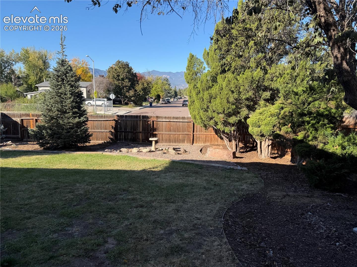 Expansive backyard featuring a fenced perimeter, mature evergreen trees, and a rock-landscaped section