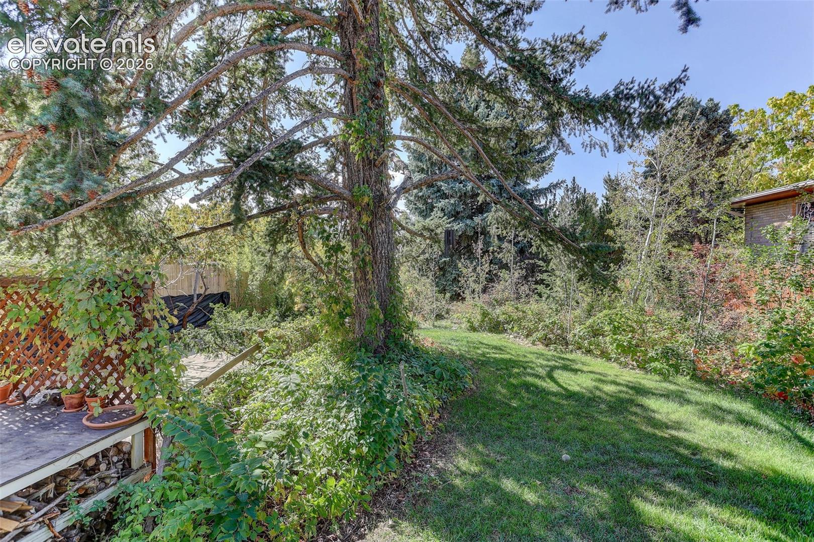 Expansive yard featuring mature trees, established greenery, and a wooden deck with lattice detailing