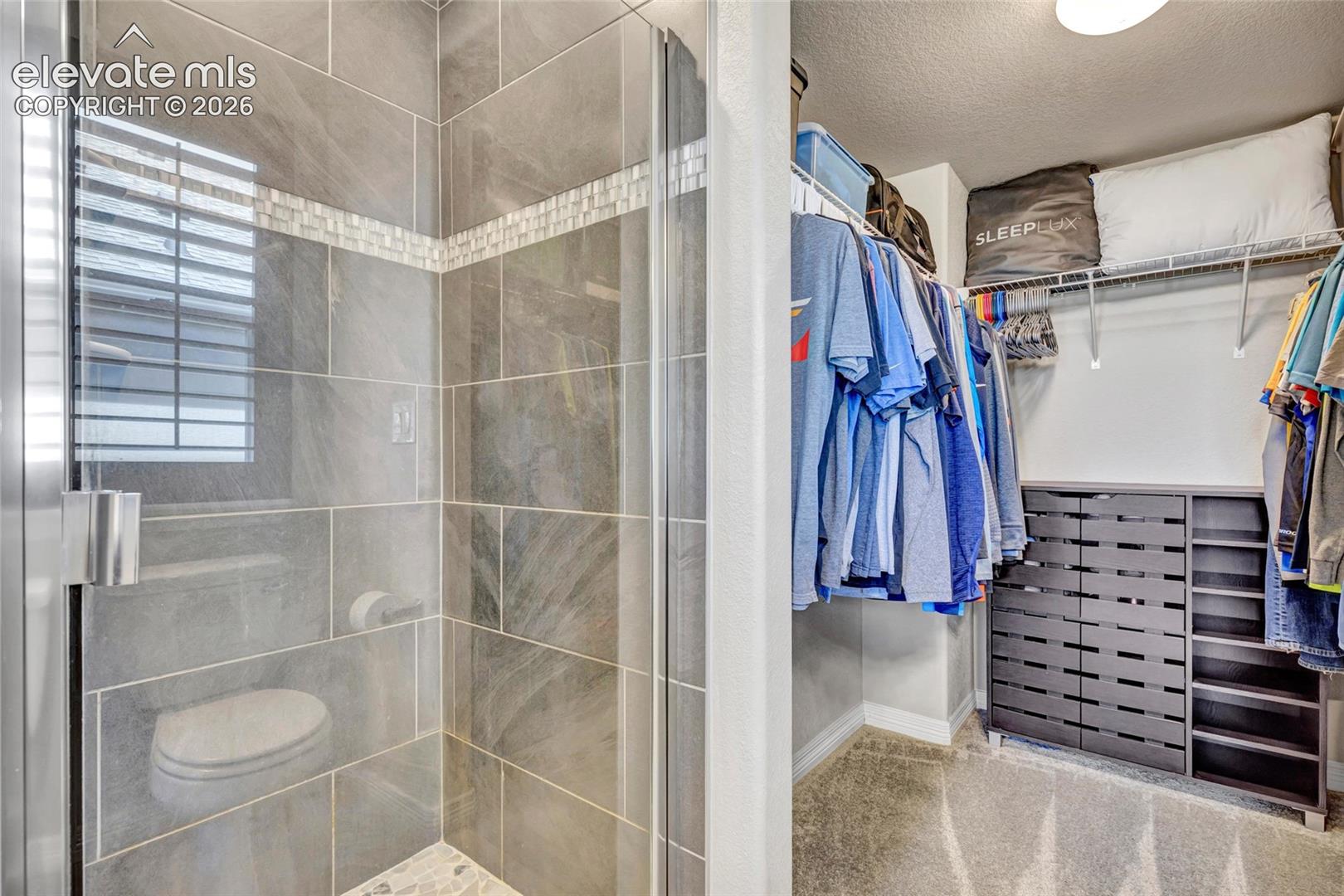 Shower with glass enclosure, large format tile walls, mosaic tile accent