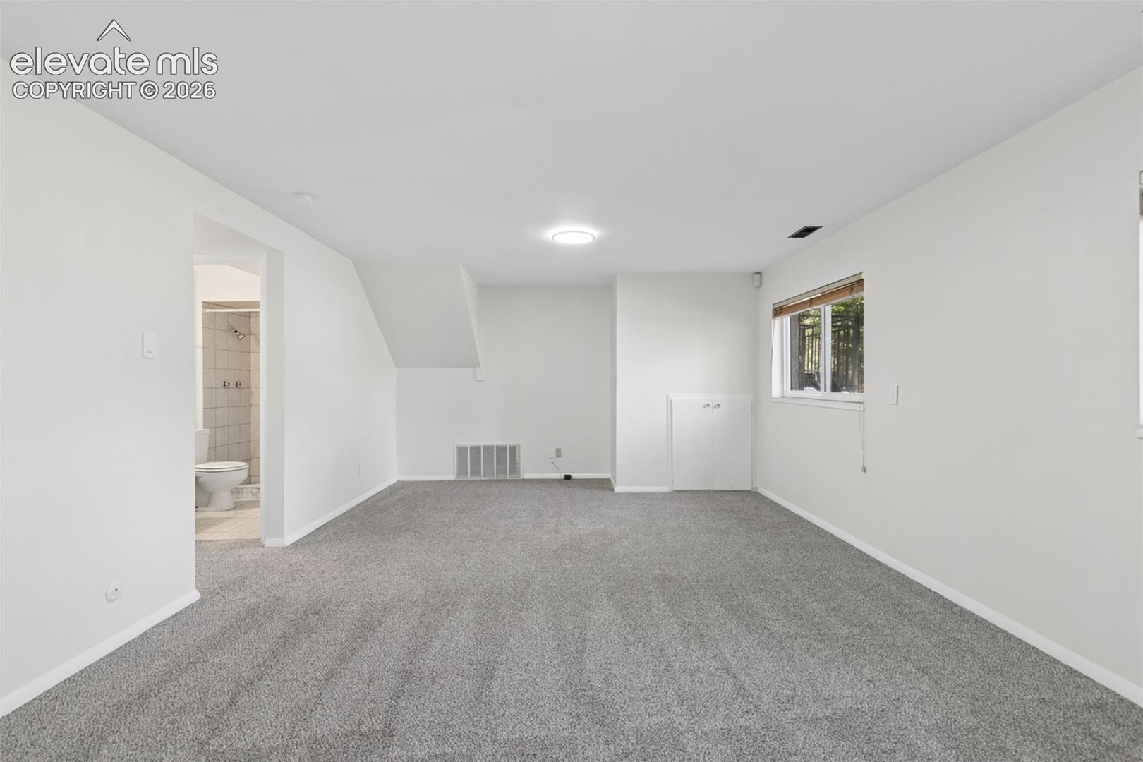 Large Basement Living Room