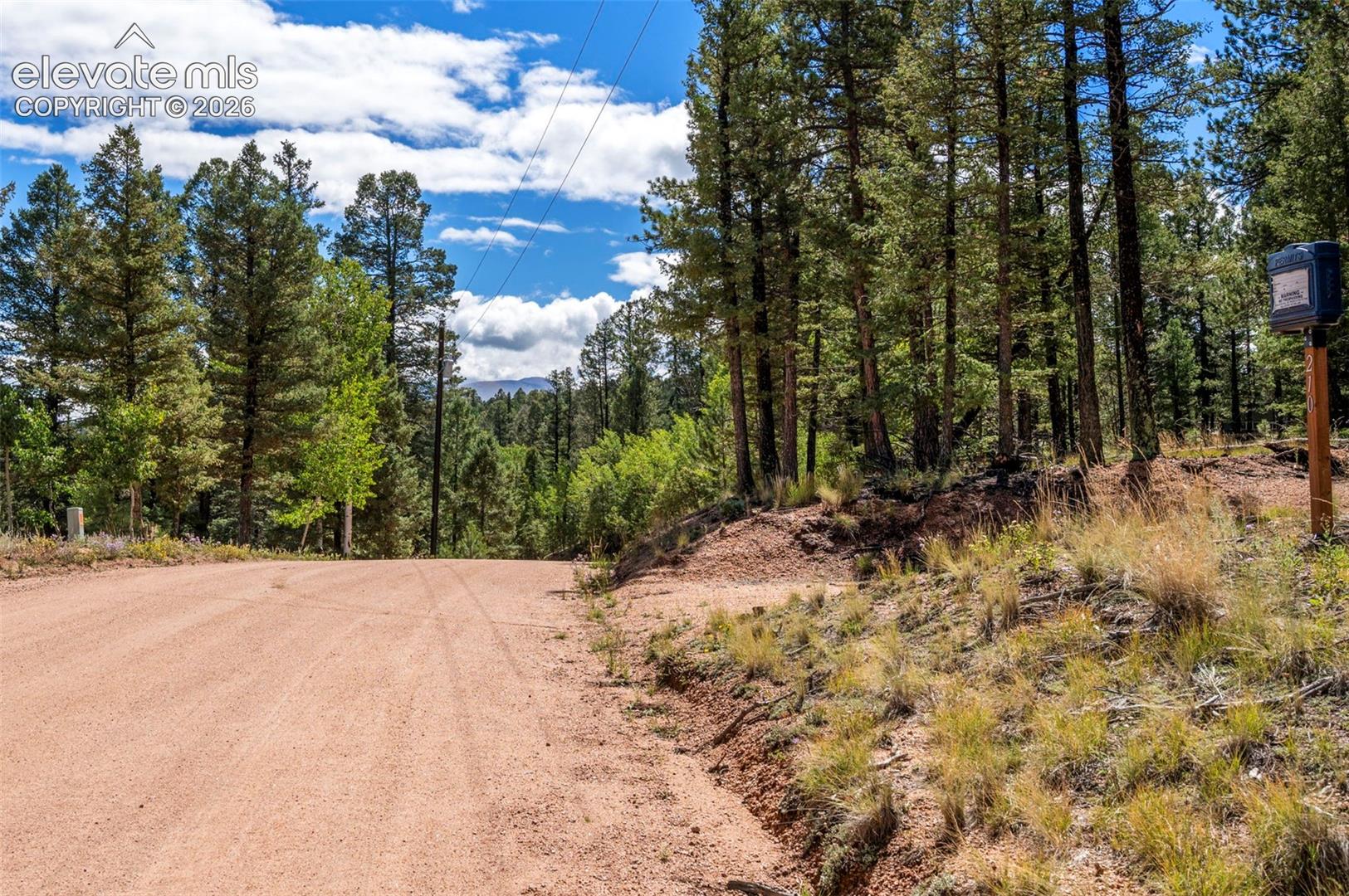 210 Donzi Trl, Florissant, CO 80816