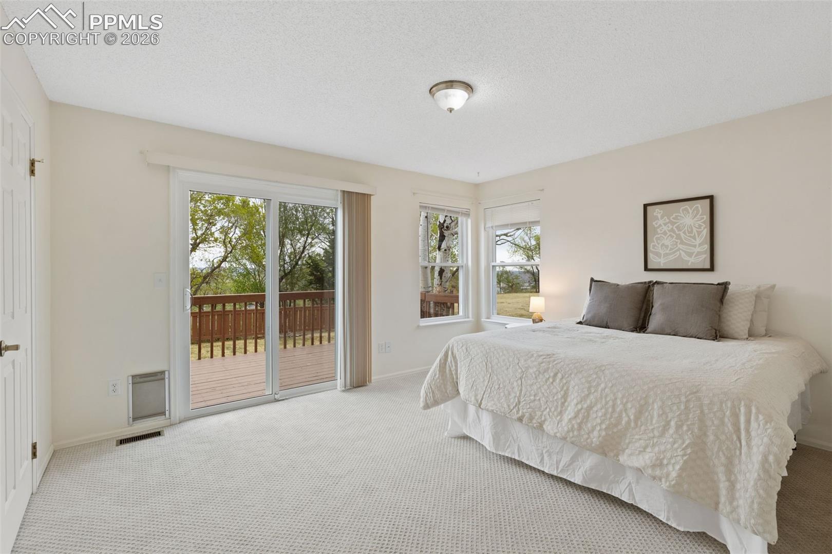 Spacious room featuring light-colored carpet flooring, a ceiling-mounted light fixture, and windows providing natural light