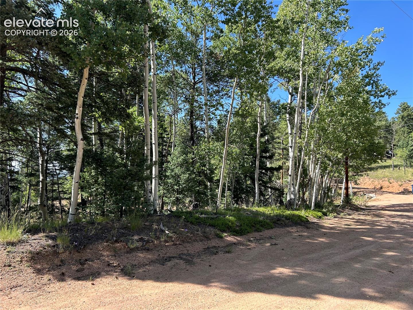 Lot featuring mature aspen and evergreen trees with naturalized landscaping and earthen terrain