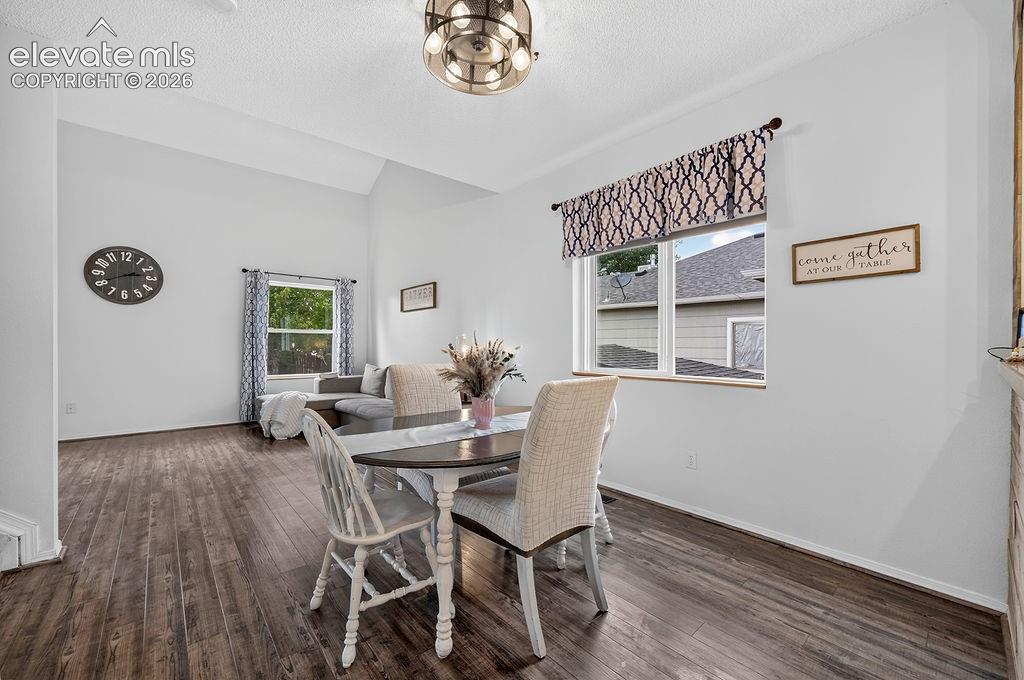 Vaulted ceilings, wood-finish flooring, and a contemporary ceiling light fixture
