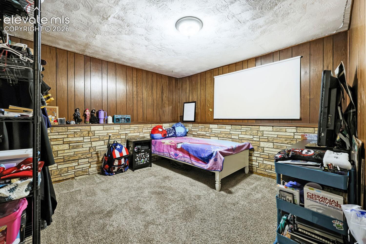 Carpeted flooring, wood paneling, decorative stone-finish wainscoting, and a flush-mount ceiling light