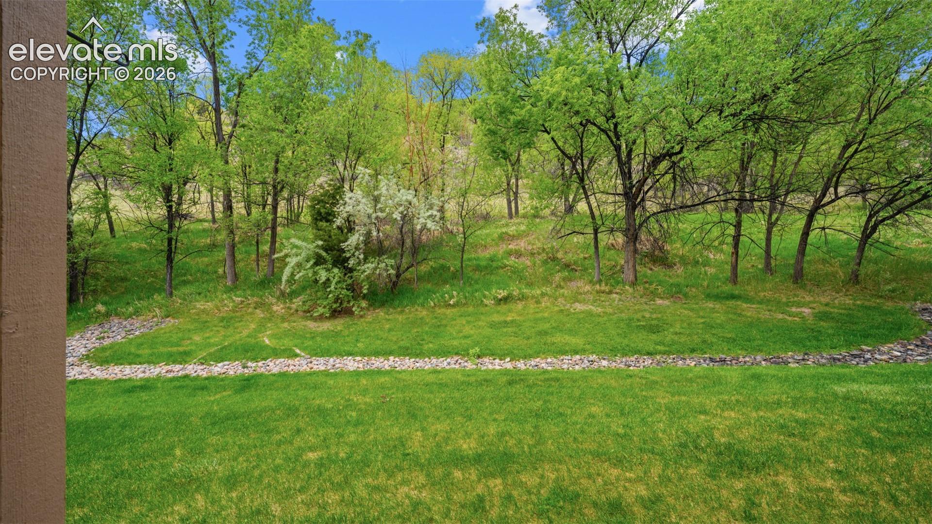 Yard looking into Natural Landscape