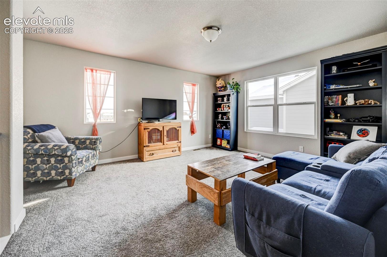 Interior room featuring wall-to-wall carpeting, neutral-toned walls, and multiple windows providing natural light, finished with a flush-mount ceiling light fixture