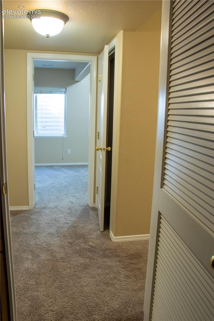 Hallway with neutral-toned carpeting, white trim, and a flush-mount ceiling light fixture
