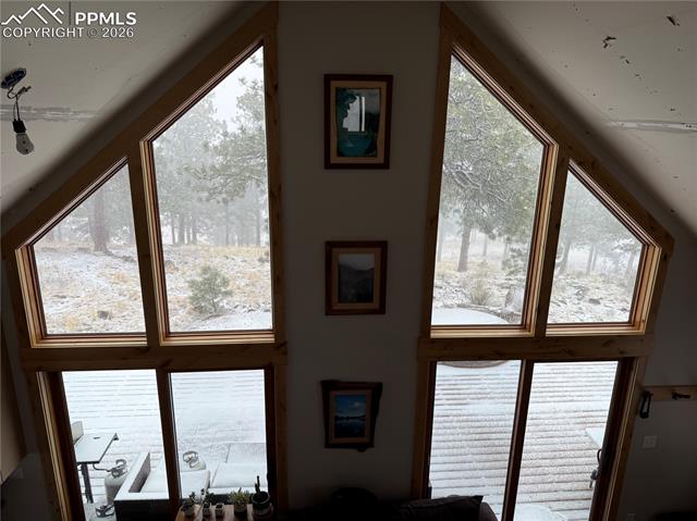254 Cobb Ln, Guffey, CO 80820