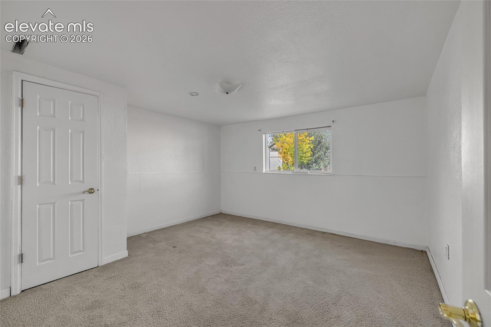 Neutral wall color, carpeted flooring, a window offering natural light, and a paneled door