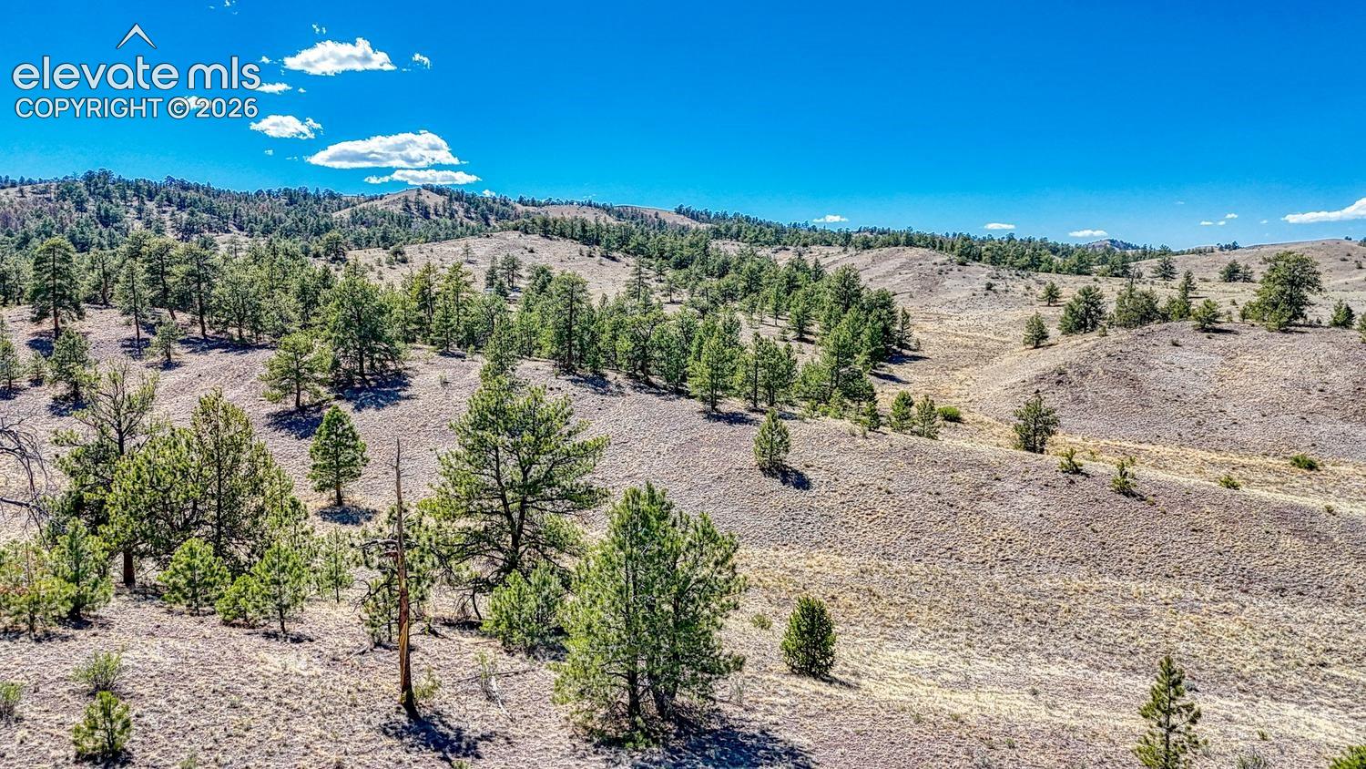 Photo 28 of Lot 11 Highway 9, Hartsel