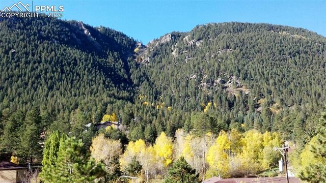 10316 El Paso Ave, Green Mountain Falls, CO 80819