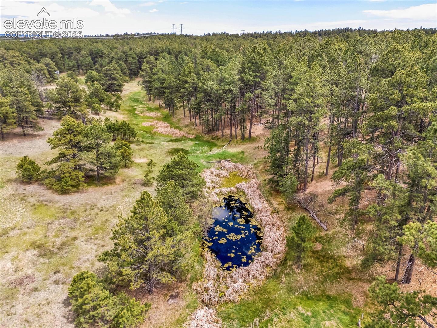 Photo 17 of 10655 Hardy Road, Colorado Springs