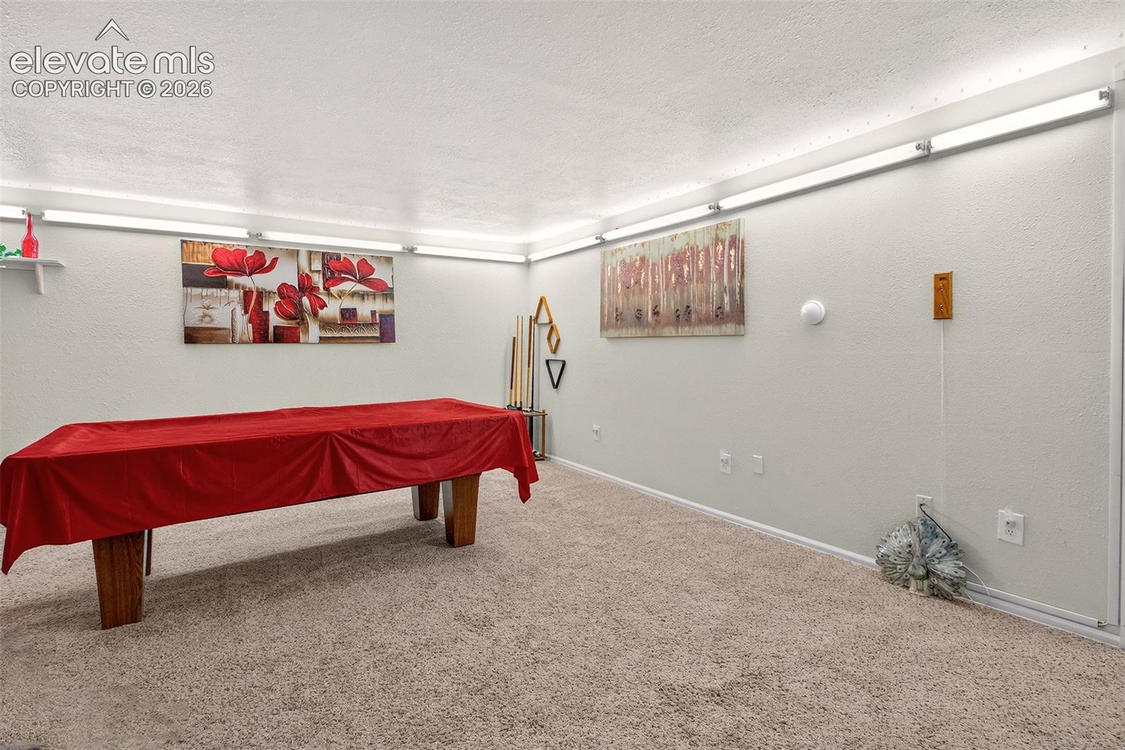 Third Bedroom or could be used as a Flex Room