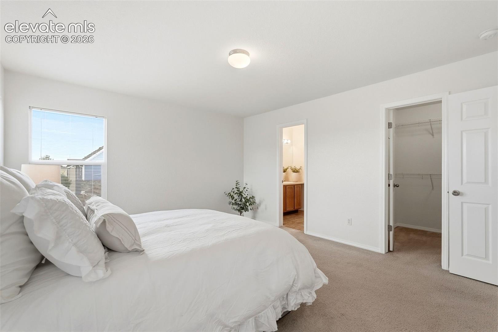 Photo 23 of 7611 Menagerie Lane, Colorado Springs
