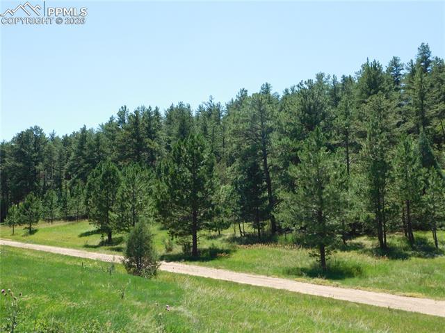 Photo 21 of 4668 Comanche Drive, Larkspur
