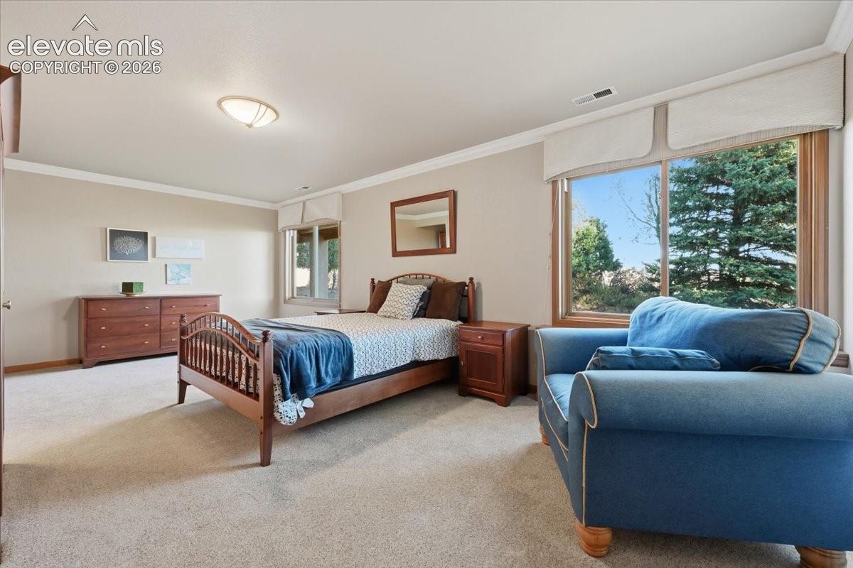 Second basement bedroom.